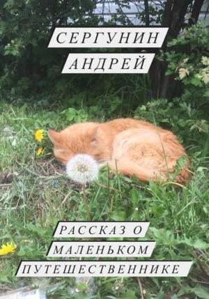 Обложка книги «Рассказ о маленьком путешественнике» — Андрей Сергунин