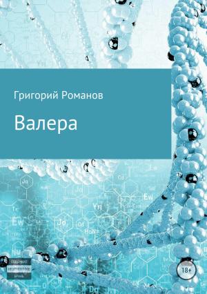Обложка книги «Валера» — Григорий Романов