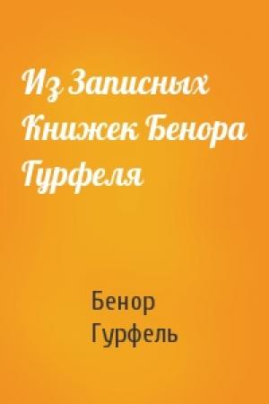 Обложка книги «Из Записных Книжек Бенора Гурфеля» — Бенор Гурфель
