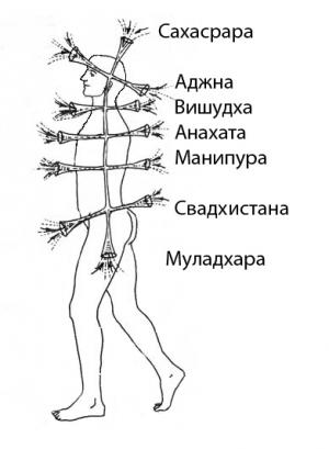 Обложка книги «Анатолий Донской» — DON