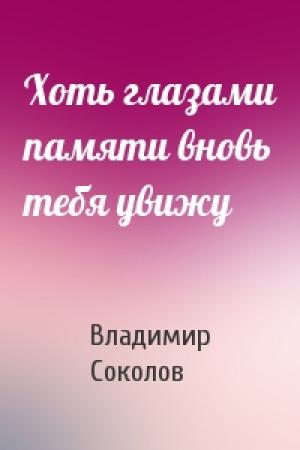 Обложка книги «Хоть глазами памяти вновь тебя увижу» — Владимир Соколов