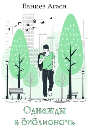 Обложка книги «Однажды в библионочь» — Агаси Ваниев