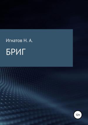 Обложка книги «БРИГ» — Николай Игнатов
