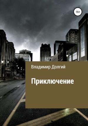 Обложка книги «Приключение» — Владимир Долгий