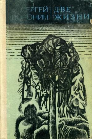 Обложка книги «Две жизни» — Сергей Воронин