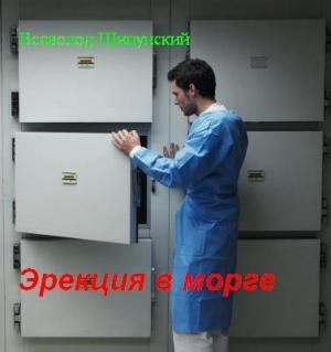Обложка книги «Эрекция в морге (СИ)» — Всеволод Шипунский