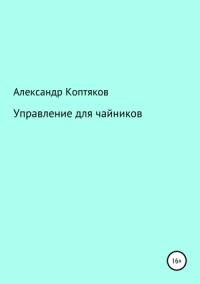 Александр Коптяков - Управление для чайников