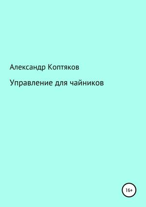 Обложка книги «Управление для чайников» — Александр Коптяков