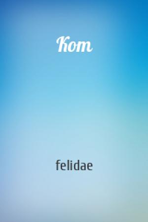 Обложка книги «Кот» — felidae