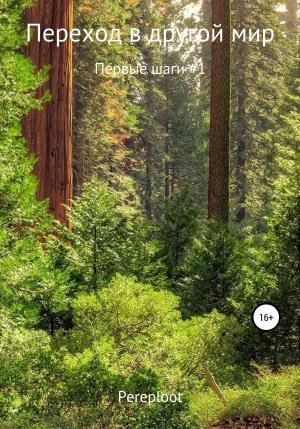 Обложка книги «Переход в другой мир. Первые шаги #1» — Pereploot