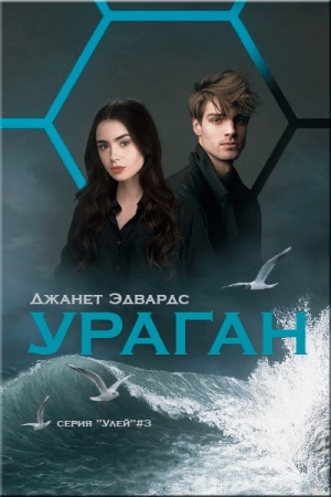 Обложка книги «Ураган» — Джанет Эдвардс