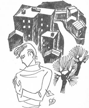 Обложка книги «Солнце и кошка» — Юрий Герт