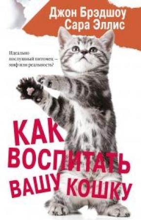 Обложка книги «Как воспитать вашу кошку» — Сара Эллис, Джон Брэдшоу