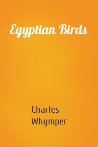 Egyptian Birds