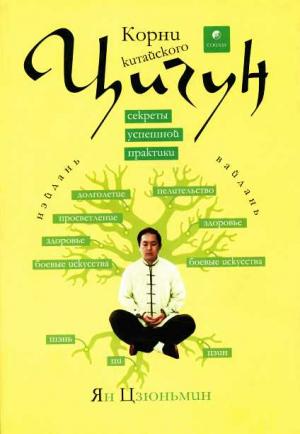 Обложка книги «Корни китайского цигун. Секреты успешной практики» — Ян Цзюньмин