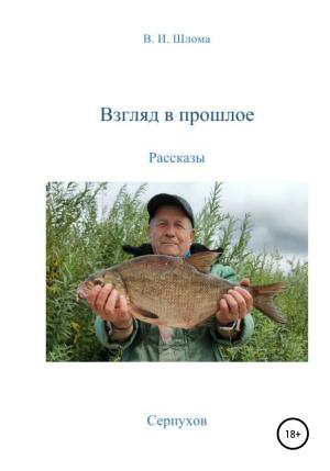 Обложка книги «Взгляд в прошлое» — Владимир Шлома