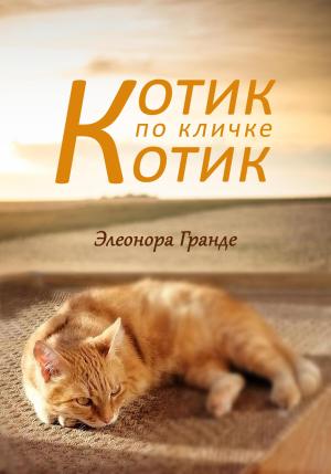Обложка книги «Котик по кличке Котик» — Элеонора Гранде