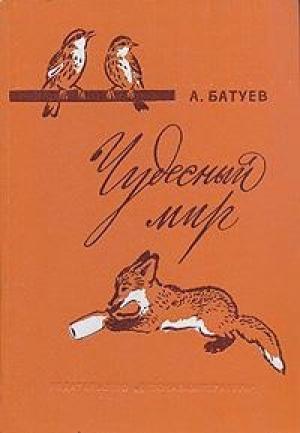 Обложка книги «Чудесный мир» — Андрей Батуев