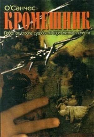 Обложка книги «Кромешник. Книга 2» — О'Санчес