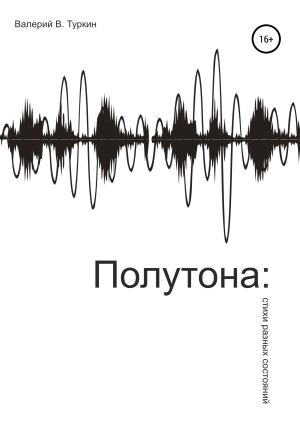 Обложка книги «Полутона: стихи разных состояний» — Валерий Туркин