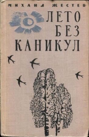 Обложка книги «Лето без каникул» — Михаил Жестев