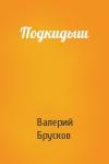 Валерий Брусков - Подкидыш