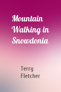 Mountain Walking in Snowdonia