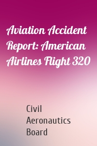 Aviation Accident Report: American Airlines Flight 320