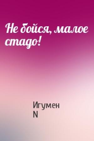 Обложка книги «Не бойся, малое стадо!» — Игумен N