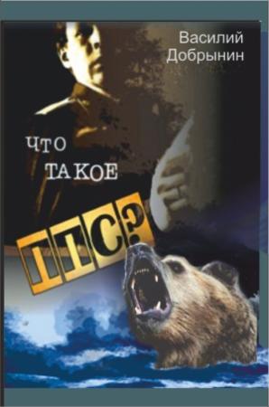 Обложка книги «Что такое ППС?» — Василий Добрынин