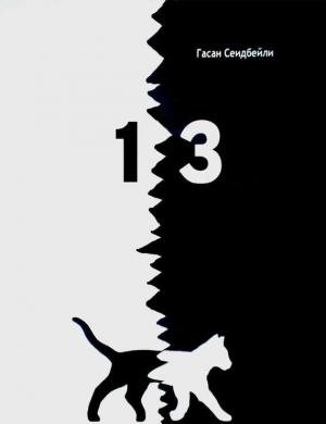 Обложка книги «13» — Гасан Сеидбейли II
