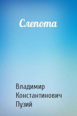 Обложка книги «Слепота» — Владимир Пузий