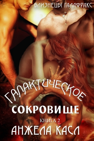Обложка книги «Галактическое сокровище» — Анжела Касл