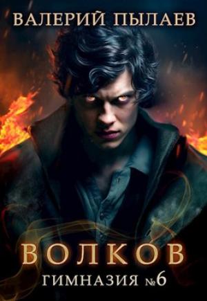 Обложка книги «Гимназия №6» — Валерий Пылаев