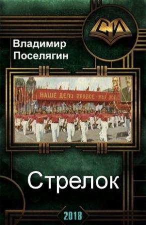Обложка книги «Стрелок» — Владимир Поселягин