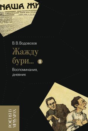 Обложка книги ««Жажду бури…». Воспоминания, дневник. Том 1» — Василий Водовозов