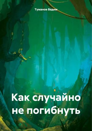 Обложка книги «Как случайно не погибнуть» — Туманов Вадим