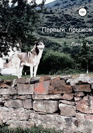 Обложка книги «Первый прыжок» — Лина А.