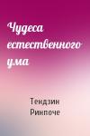 Тендзин Вангьял Ринпоче - Чудеса естественного ума