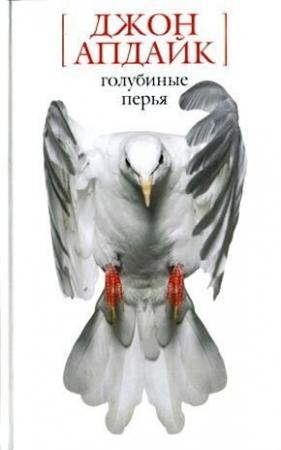 Обложка книги «Отшельник» — Джон Апдайк
