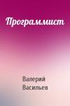 Валерий Васильев - Программист