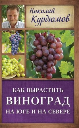 Обложка книги «Как вырастить виноград на Юге и на Севере» — Николай Курдюмов