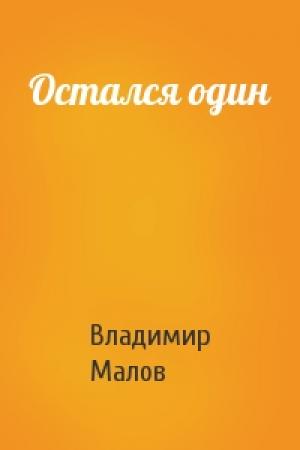 Обложка книги «Остался один» — Владимир Игоревич Малов