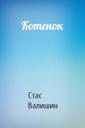 Обложка книги «Котенок» — Стас Валишин
