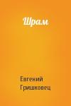 Евгений Гришковец - Шрам