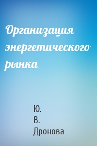 Организация энергетического рынка