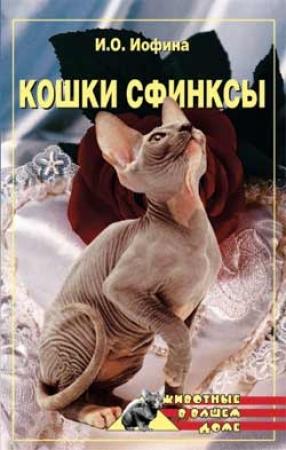 Обложка книги «Кошки – сфинксы» — Дарья Нестерова