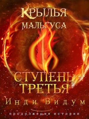 Обложка книги «Ступень третья. Часть вторая» — Инди Видум