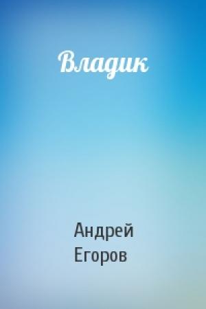 Обложка книги «Владик» — Андрей Егоров
