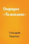 Геннадий Тищенко - Операция «Гильгамеш»